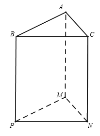 Cho hình lăng trụ đứng tam giác như hình bên. Mặt bên của lăng trụ đứng là (ảnh 1)