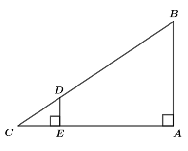 1) Cho hình vẽ bên, biết: DE = 1,6 m , CE = 2m , EA = 8,3 m (ảnh 2)