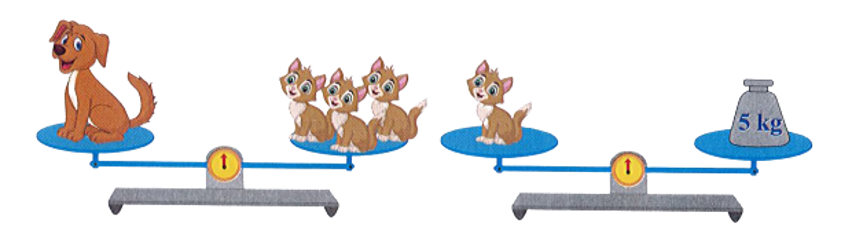 Con chó cân nặng là:     (ảnh 1)