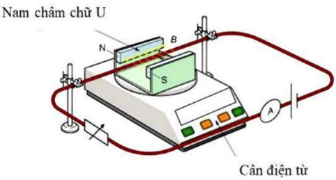 Một học sinh bố trí thí nghiệm như hình vẽ để xác định cảm ứng từ trong lòng nam châm chữ U. Mạch điện được giữ bởi hai giá cố định sao cho đoạn dây dẫn nằm trong từ trường của nam châm có chiều dài 2,0 cm (ảnh 1)