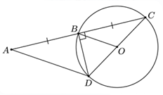 Đáp án: 10 (ảnh 1)