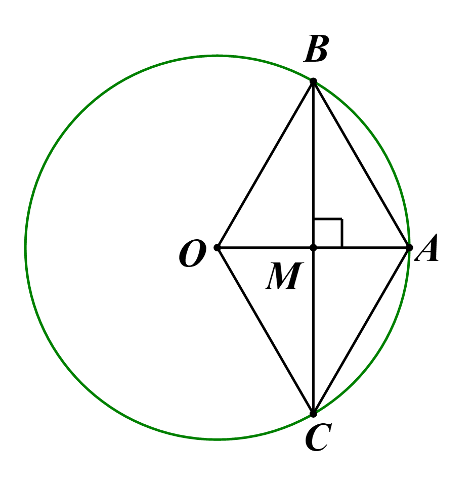 Cho đường tr&ograve;n \[\left( O \right)\] b&aacute;n k&iacute;nh \[OA.\] Từ trung điểm \[M\] của \[OA\] vẽ d&acirc;y \[BC \bot OA.\] Biết độ d&agrave;i đường tr&ograve;n \[\left( O \right)\] l&agrave; \[8\pi {\rm{\;cm}}.\] Độ d&agrave;i cung lớn \[BC\] bằng bao nhi&ecirc;u? (Kết quả l&agrave;m tr&ograve;n đến h&agrave;ng phần mười) (ảnh 1)