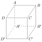 Chọn D  Ph&eacute;p chiếu song song theo phương \[A'A (ảnh 1)