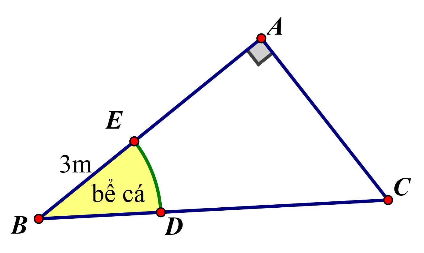 a) X&eacute;t \[\Delta ABC\] vu&ocirc;ng tại \[A\] c&oacute;: (ảnh 1)