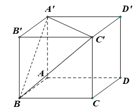 Cho h&igrave;nh lập phương \(ABCD.A'B'C'D'\). T&iacute;nh g&oacute;c giữa hai đường thẳng \(A'C'\) v&agrave; \(CD'\). A. \(90^\circ \).	B. \(30^\circ \).	C. \(45^\circ \).	D. \(60^\circ \). Lời giải (ảnh 1)