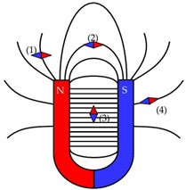 Một học sinh đặt 4 nam châm thử tại 4 vị trí khác nhau trong từ trường gây ra bởi nam châm chữ U. Một học sinh khác mô tả sự định hướng của các nam châm thử này như hình vẽ. Nam châm thử ở vị trí số mấy mô tả đúng sự định hướng? (ảnh 1)