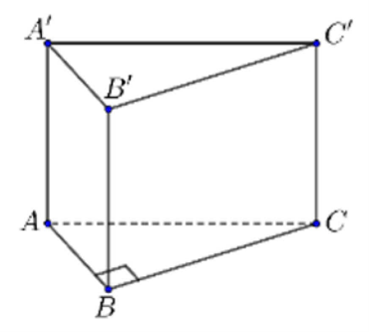 Cho lăng trụ đứng \[ABC.A'B'C'\]. Đ&aacute;y l&agrave; tam gi&aacute;c \[ABC\] vu&ocirc;ng c&acirc;n tại \(B\) (H&igrave;nh minh họa). Khi đ (ảnh 1)
