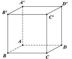 Cho hình lập phương \(ABCD.A'B'C'D'\). Tìm mệnh đề sai.  (ảnh 1)