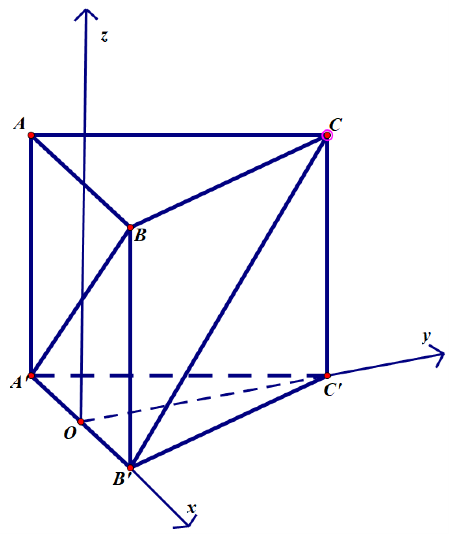 &nbsp;  Gọi \(h = AA' = BB' = CC'\). (ảnh 2)