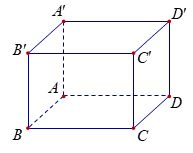 Cho h&igrave;nh hộp ABCD.A'B'C'D).   X&eacute;t c&aacute;c mệnh đề sau: (ảnh 1)