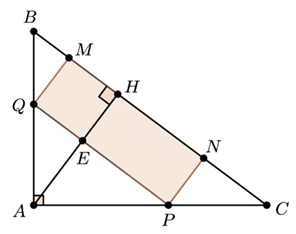&nbsp;Khi đ&oacute; chi ph&iacute; để trồng hoa l&agrave;: \(12.1,4 = 16,8\) (triệu đồng). (ảnh 2)
