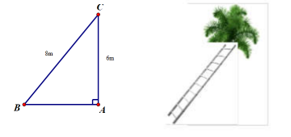 Vậy góc giữa thang tre với mặt đất là \(48^\circ 35'\). (ảnh 1)