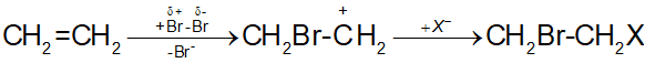 Khi cho ethylene tác dụng với dung dịch bromine trong điều kiện thường, xảy ra phản ứng cộng electrophile theo sơ đồ sau:   Ngoài sản phẩm chính là CH2Br-CH2Br, còn thu được một lượng nhỏ sản phẩm hữu cơ A, công thức là (ảnh 1)