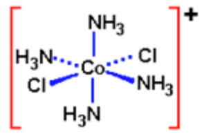 Phức chất [Co(NH3)4Cl2]+ có cấu trúc như hình dưới đây:   Có bao nhiêu liên kết cho – nhận giữa nguyên tử trung tâm với các phối tử trong phức chất đó? (ảnh 1)