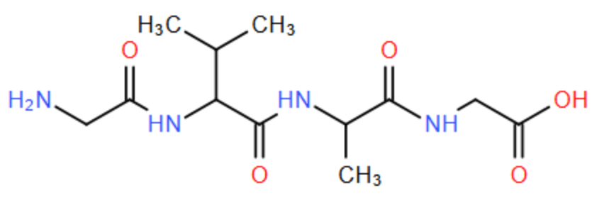 Peptide X có cấu trúc sau đây được tạo nên từ sự kết hợp của các đơn vị α-amino acid, trong đó α-amino acid Y có phân tử khối lớn nhất so với các đơn vị α-amino acid khác trong X: Phân tử khối của Y là bao nhiêu? (ảnh 1)
