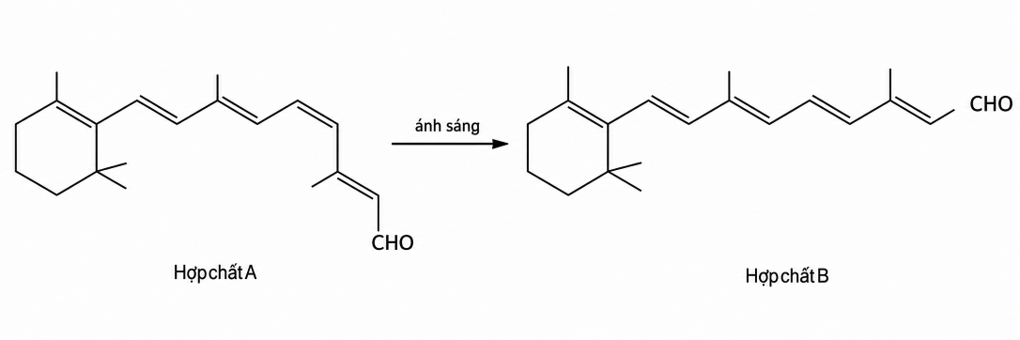 Sắc tố quang học trong võng mạc giúp mắt chuyển đổi ánh sáng thành tín hiệu thần kinh để truyền đến não, cho phép chúng ta nhìn thấy thế giới xung quanh.  (ảnh 1)