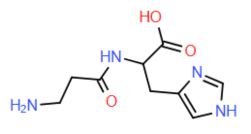 Carnosine là một peptide tự nhiên được tìm thấy nhiều trong mô cơ và não. Nó được ứng dụng rộng rãi làm thực phẩm bổ sung giúp tăng cường sức bền cơ bắp cho vận động viên và là thành phần trong mĩ phẩm chống lão hóa. (ảnh 1)