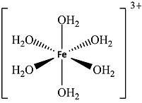 Cation [Fe(OH2)6]^3+ là một phức chất có cấu tạo như hình bên:  Phát biểu nào sau đây không đúng? (ảnh 1)