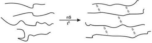 Cao su thiên nhiên là một loại polymer có chứa các mắt xích isoprene. Cao su thiên nhiên có phản ứng với lưu huỳnh tạo ra cao su lưu hóa có tính đàn hồi, lâu mòn, chịu nhiệt tốt hơn.  (ảnh 2)