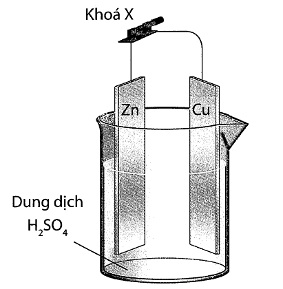 Nhúng thanh kẽm và thanh đồng (không tiếp xúc với nhau) vào cốc đựng dung dịch H2SO4 loãng. Nối thanh kẽm và thanh đồng bằng dây dẫn (có 1 khóa X) như hình vẽ như sau: (ảnh 1)
