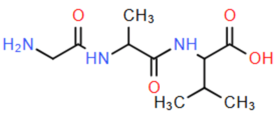 Cho tripeptide X có công thức cấu tạo như sau: Cho các nhận định sau: (1) Công thức cấu tạo của X là Val-Ala-Gly. (ảnh 1)