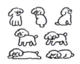 All dogs are mammals. All poodles are dogs. Therefore, A. All dogs are poodles. B. All mammals are dogs. C. All mammals are poodles. D. All poodles are mammals. (ảnh 1)