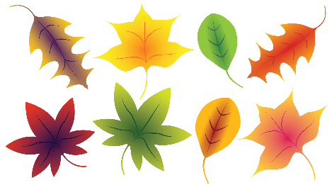 Look and write.    I can __ee seven leaves. (ảnh 1)