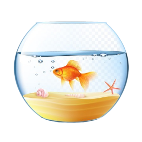 Khoanh vào chữ cái trước ý trả lời đúng. a) Trong bể có mấy chú cá? 	A. 1	 	B. 2 	C. 3	 	D. 4 (ảnh 1)