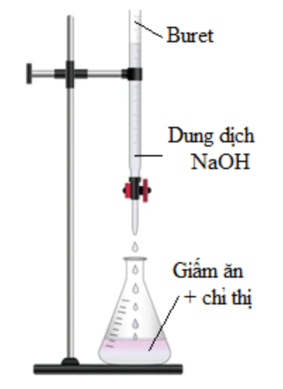 Để xác định nồng độ acetic acid có trong một mẫu giấm ăn, một nhóm học sinh tiến hành thí nghiệm sau: Bước 1: Pha loãng 10,00 mL giấm ăn bằng nước cất trong bình định mức được 100,00 mL dung dịch X. Dùng pipette lấy 10,00 mL dung dịch X  (ảnh 1)