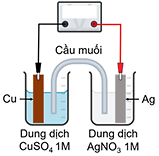 Một pin Galvani được thiết lập ở điều kiện chuẩn theo sơ đồ sau:  Cầu muối chứa muối NH4NO3. Khi pin Galvani trên hoạt động: (ảnh 1)