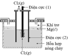 Trong công nghiệp, magnesium (Mg) được sản xuất từ quặng carnallite (có thành phần chính là KCl.MgCl2.6H2O) bằng phương pháp điện phân nóng chảy. Trước khi điện phân, carnallite được nung nóng để loại bỏ nước. Sơ đồ thiết bị điện phân như hình bên: (ảnh 1)