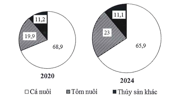 Cho biểu đồ sau: Cơ cấu sản lượng thủy sản nuôi trồng của nước ta, năm 2020 và năm 2024 (Đơn vị: %) (Nguồn: Niên giám thống kê năm 2024) (ảnh 1)