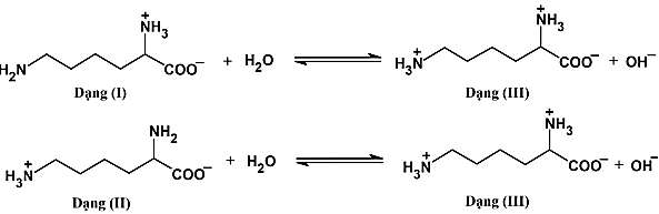 Lysine là amino acid thiết yếu giúp trẻ em phát triển chiều cao, được cung cấp chủ yếu từ thực phẩm như trứng, thịt, đậu nành, pho mát. Xét cân bằng khi hòa tan lysine vào nước: (ảnh 1)
