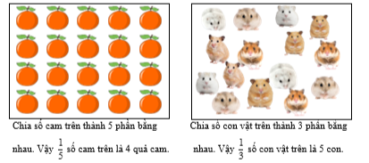 Điền số thích hợp vào ô trống:  Chia số cam trên thành 5 phần bằng nhau. Vậy 1/5 số cam trên là …… quả cam. (ảnh 2)