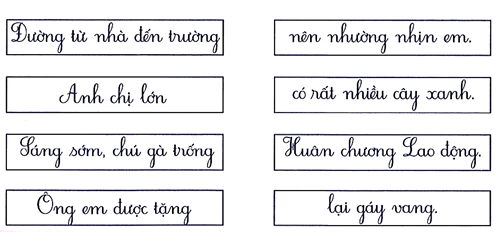 Nối đúng (1 điểm) (ảnh 1)