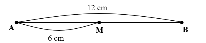 Trên đoạn thẳng AB, điểm M nằm giữa A và B. Nếu độ dài đoạn thẳng AB là 12 cm, đoạn AM dài 6 cm thì điểm M là: (ảnh 1)