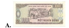 Tờ tiền nào dưới đây có mệnh giá 5 nghìn đồng? (ảnh 2)