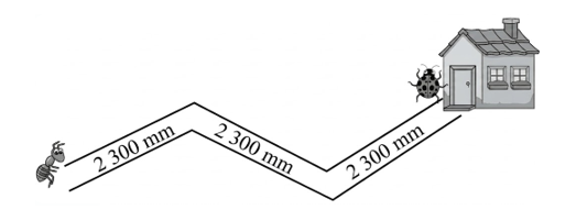 Để đến nhà Cánh Cam, Kiến cần đi quãng đường dài là: (ảnh 1)