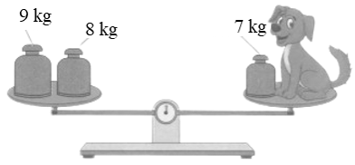 Cân nặng của con chó là:  (ảnh 1)