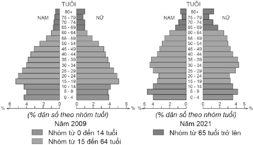 Theo biểu đồ, cho biết nhận xét nào sau đây đúng với tháp dân số Việt Nam năm 2009 và năm 2021? (ảnh 1)