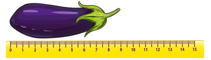 Số? A. 8 cm	 B. 10 cm	 C. 9 cm	 D. 5 cm (ảnh 1)