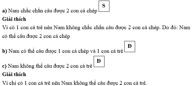 Đúng ghi Đ, sai ghi S.  Trong trò chơi câu cá, có 4 con cá: 3 con cá chép và 1 con cá trê. Nam nhắm mắt và câu 2 con cá. (ảnh 1)