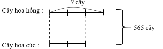 Trong một khu vườn, có tất cả 565 cây hoa. Biết rằng cứ 3 cây hoa hồng thì có 2 cây hoa cúc. Vậy khu vườn có số cây hoa hồng là: (ảnh 1)
