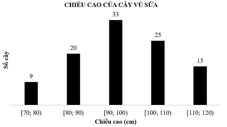 A graph with black rectangular objects

AI-generated content may be incorrect.