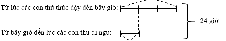 Thực hiện yêu cầu sau.  Trong rừng, Hùng và Hoa đang quan sát các loài động vật Các bạn hãy giúp Hùng trả lời câu hỏi nhé! (biết tổng thời gian từ bây giờ đến lúc các con thú đi ngủ và thời gian từ lúc chúng thức dậy đến bây giờ là 1 ngày hay 24 giờ) (ảnh 2)