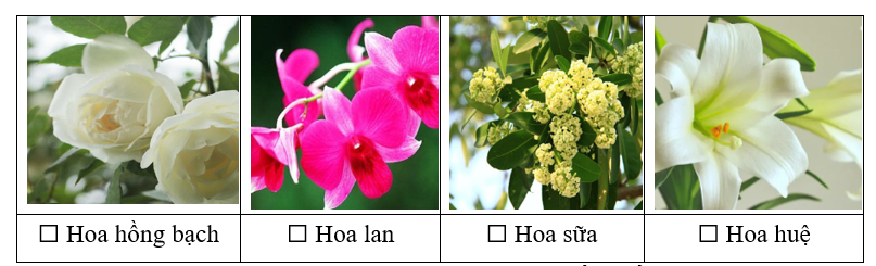 ĐỌC: Tiếng n&oacute;i của cỏ c&acirc;y  Những lo&agrave;i c&acirc;y n&agrave;o xuất hiện trong b&agrave;i đọc? (ảnh 1)