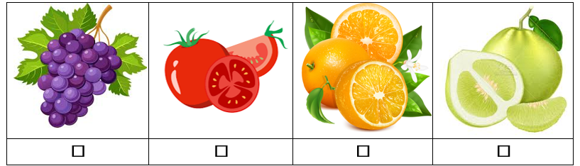 ĐỌC: Quả ngọt cuối mùa Người bà phần cho con cháu quả gì? (ảnh 1)