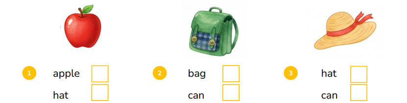 Look and tick (v).  aople hat (ảnh 1)