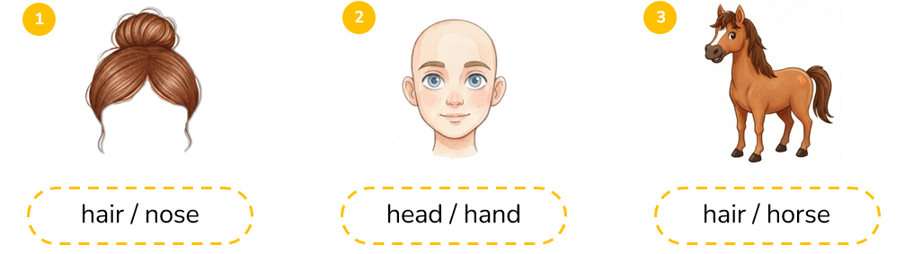 Circle the correct words. hair / nose (ảnh 1)