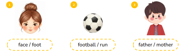 Circle the correct words.  (ảnh 1)